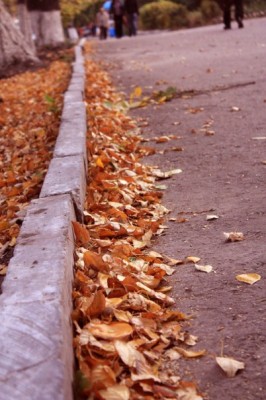 x_f58c1086.jpg (64.84 КБ) Просмотров: 15113 x_f58c1086.jpg